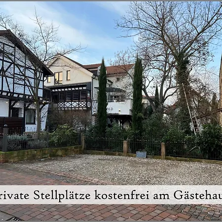 Gaestehaus Reibold 3* فراينسهايم